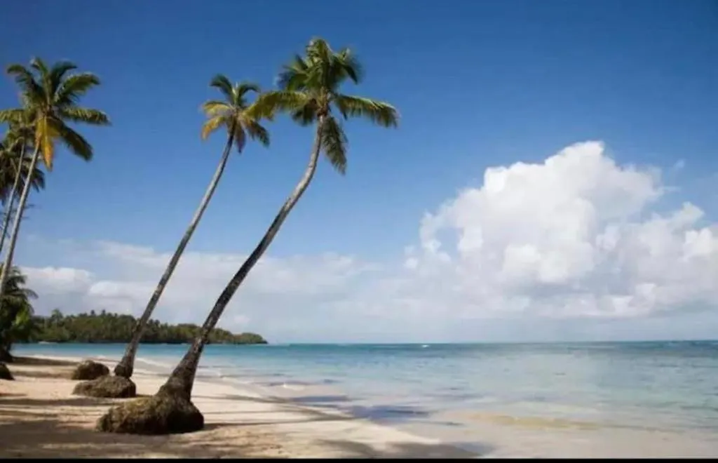 Beach Front Tgr Hotels And Resorts Punta Cana